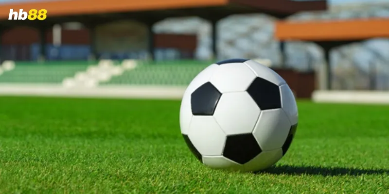 Bắc Macedonia vs Bỉ, 07/06/2025 - Cuộc đụng độ quyết định bảng đấu Phân tích phong cách thi đấu và chiến thuật của cả hai đội